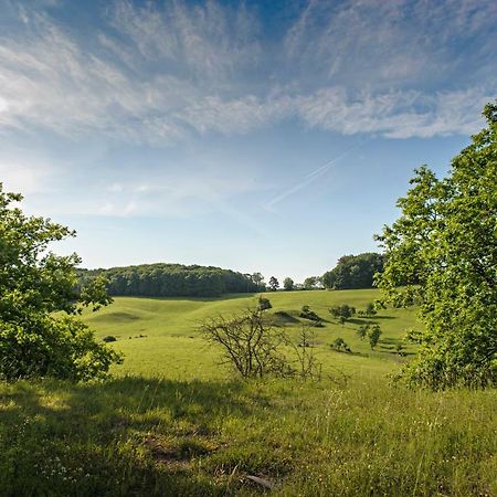 Nengshof Ferienhaus Gaensebluemchen Wißmannsdorf エクステリア 写真
