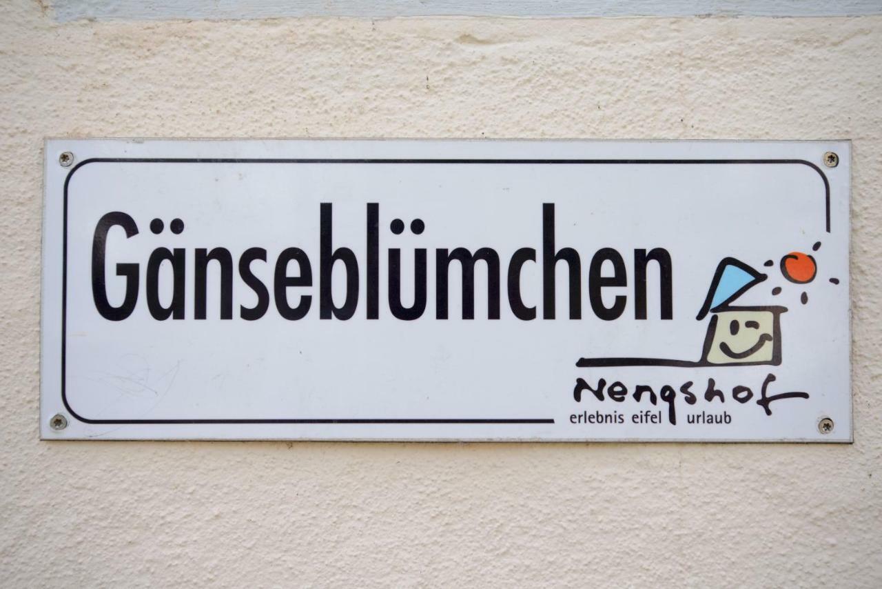 Nengshof Ferienhaus Gaensebluemchen Wißmannsdorf エクステリア 写真
